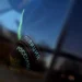 Двое россиян «пытали» своего знакомого в Крыму при помощи арбуза из-за 3000 рублей