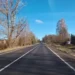 Дороги, ведущие к приютам для бездомных животных, отремонтировали в шести округах Подмосковья