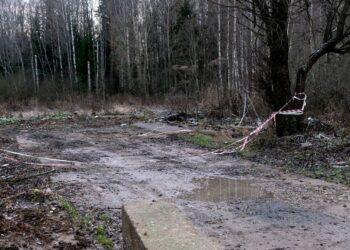 Из деревни Дор в городском округе Шаховская вывезли около 200 кубометров отходов