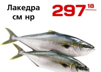 Лакедра см нр