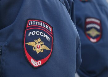 СК заинтересовался женщиной, сравнившей волонтеров СВО с «кровожадными тварями»