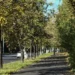 Новокузнецк или Кемерово? Опубликован рейтинг качества жизни городов России