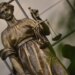Жительнице Приамурья назначили огромный штраф за оправдание терроризма