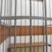 Убийство без трупа: письмо от «мертвой» сестры освободило брата из психбольницы