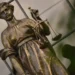 Суд Нальчика отправил в колонию на 9,5 лет бывшего главу банка