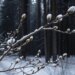 Новый поворот: анализ фото пропавших Усольцевых сузил круг версий исчезновения в Сибири